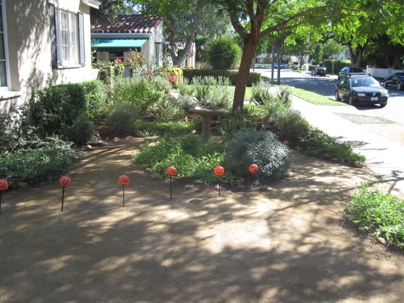 native drought tolerant garden with a decomposed granite walkway landscaping los angeles native drought tolerant garden with a decomposed granite walkway landscaping los angeles