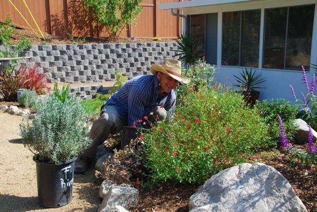 hans-landscaper-los-angeles