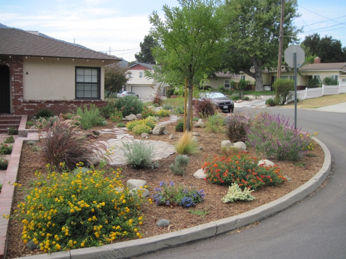 Native &amp; Drought Tolerant Gardens | Landscaping Los Angeles